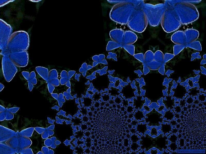 blue butterfly fractal pattern
