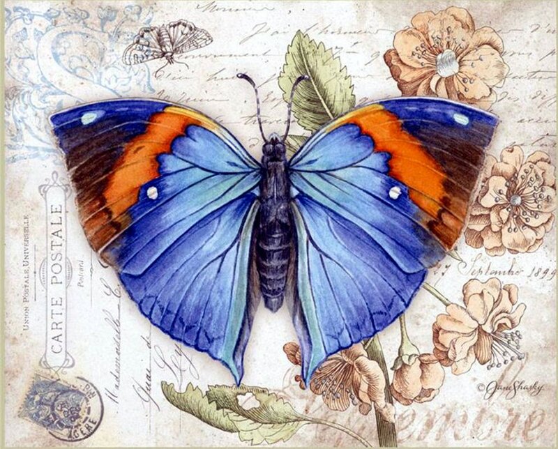 Blue Butterfly Illustration — Vintage