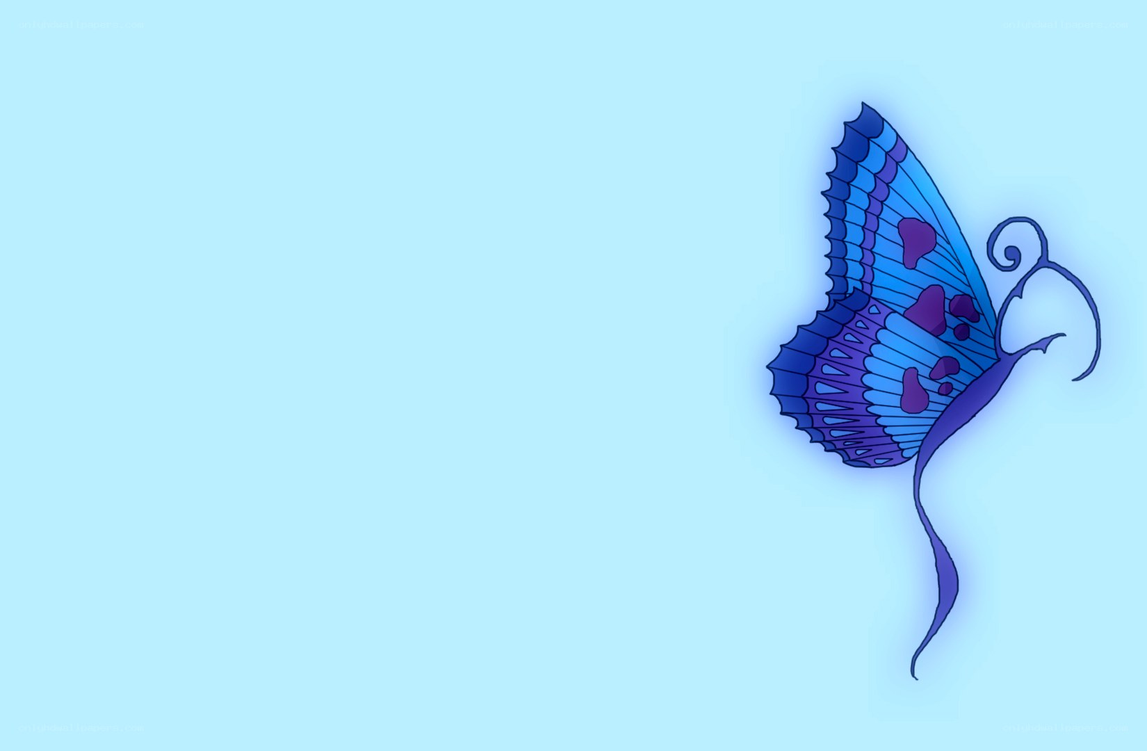 blue butterfly illustration