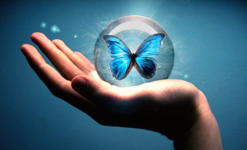 Blue Butterfly in Bubble