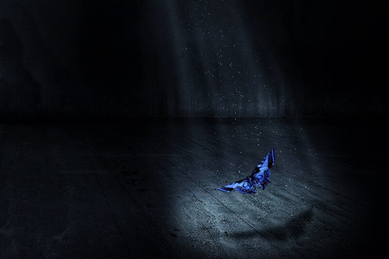 Blue Butterfly in Dark Room — Black