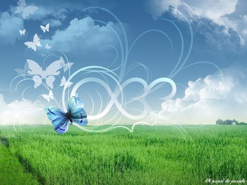 Blue Butterfly in Field