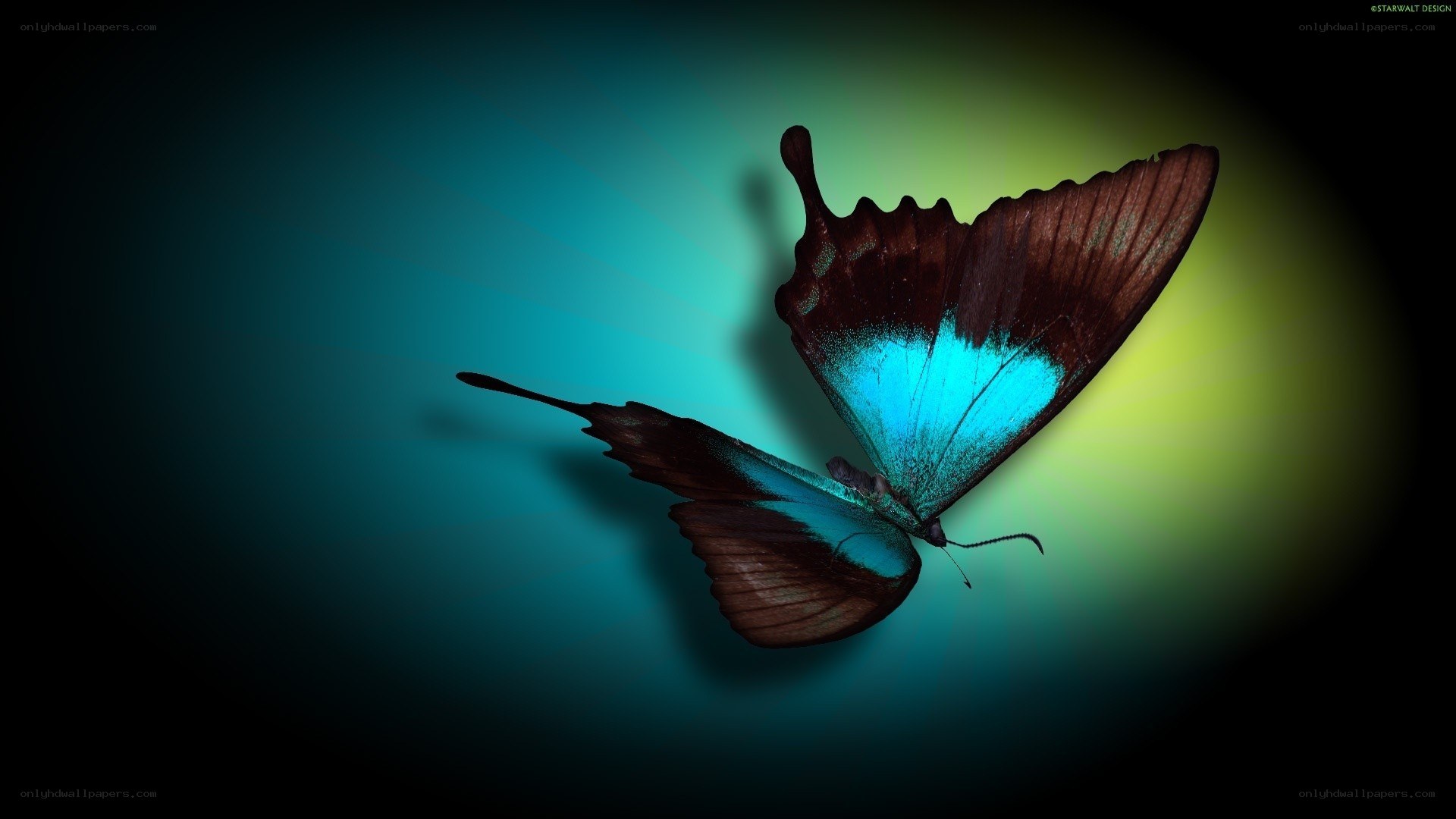 blue butterfly in flight
