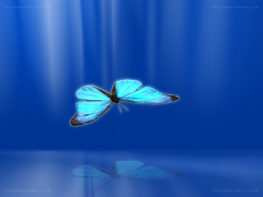 blue butterfly in flight