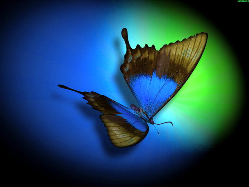 Blue Butterfly in Flight — Dramatic, Digital Art