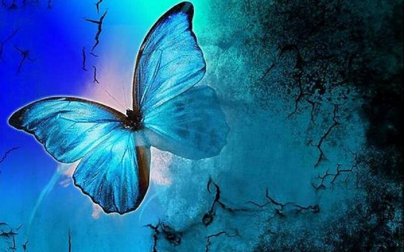 Blue Butterfly in Flight — Dramatic