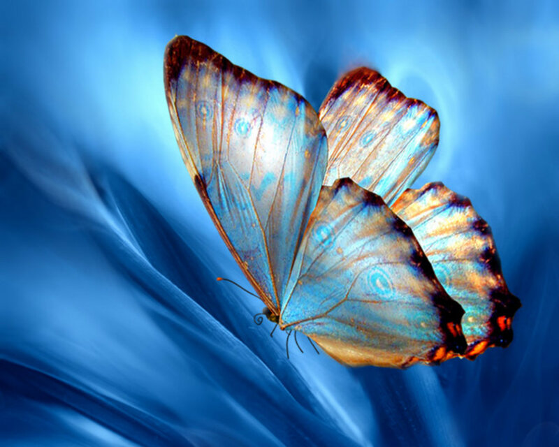 Blue Butterfly in Flight — Serene, Digital Art, Wings