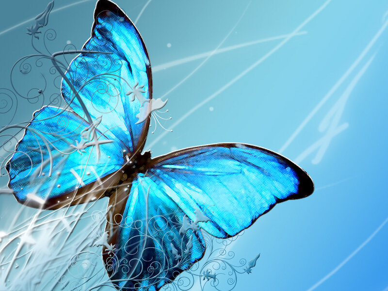 Blue Butterfly in Flight — Serene