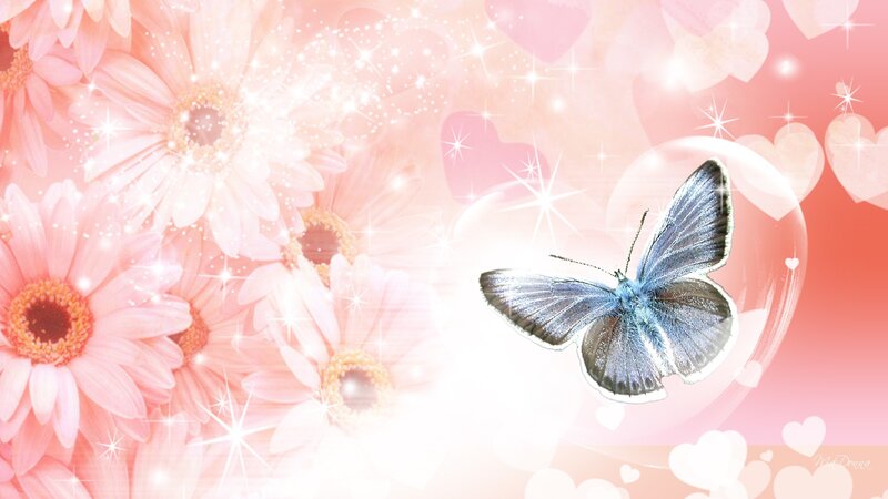 Blue Butterfly in Flower Field