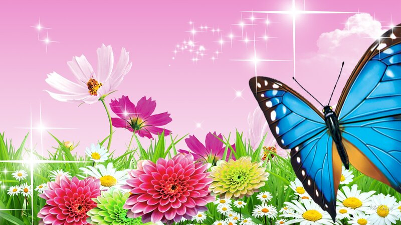 Blue Butterfly in Garden