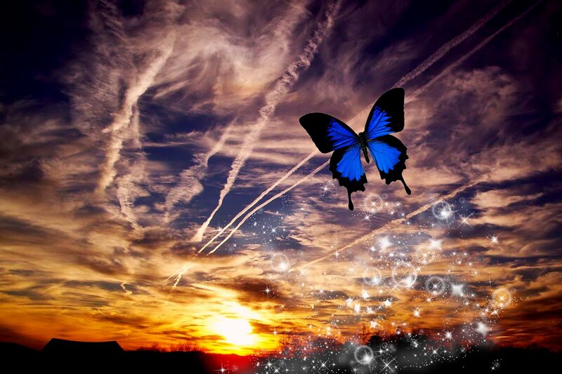 Blue Butterfly in Sky — Dramatic