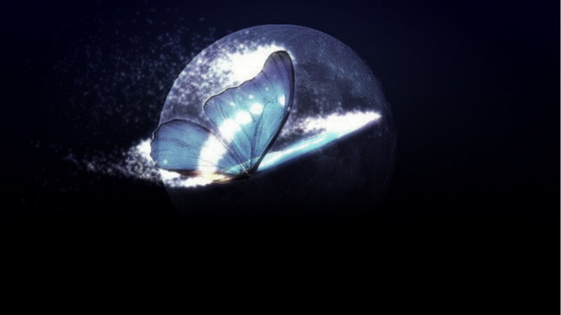 Blue Butterfly in Space