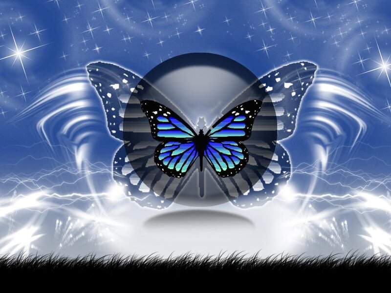Blue butterfly in starry night