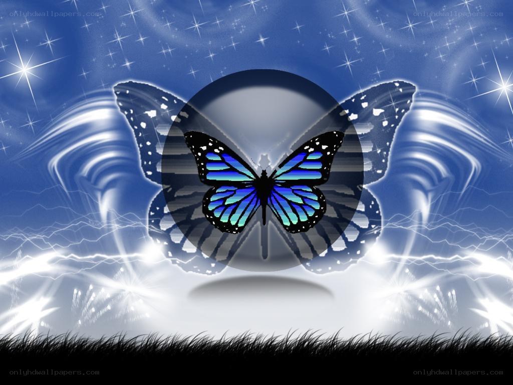 Blue butterfly in starry night