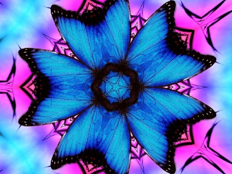 Blue Butterfly Mandala — Psychedelic