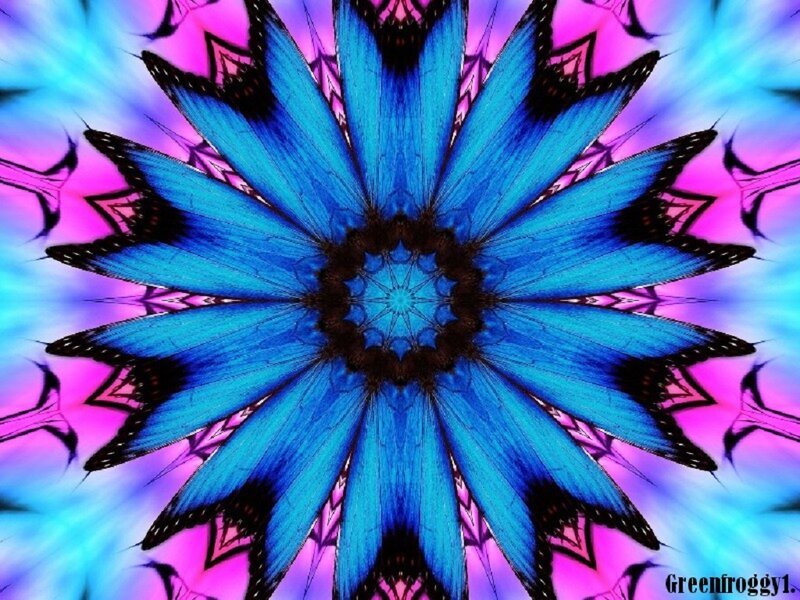 Blue Butterfly Mandala