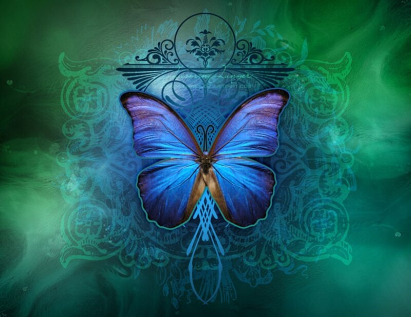 Blue Butterfly — Mystical