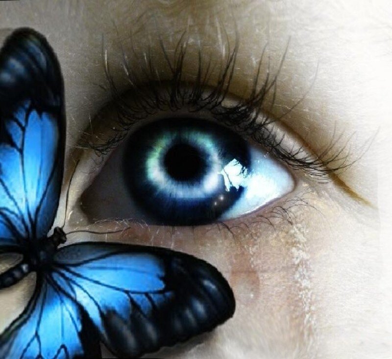 blue butterfly near eye