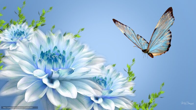 Blue Butterfly Near Flowers — Serene, Afternoon, Digital Art