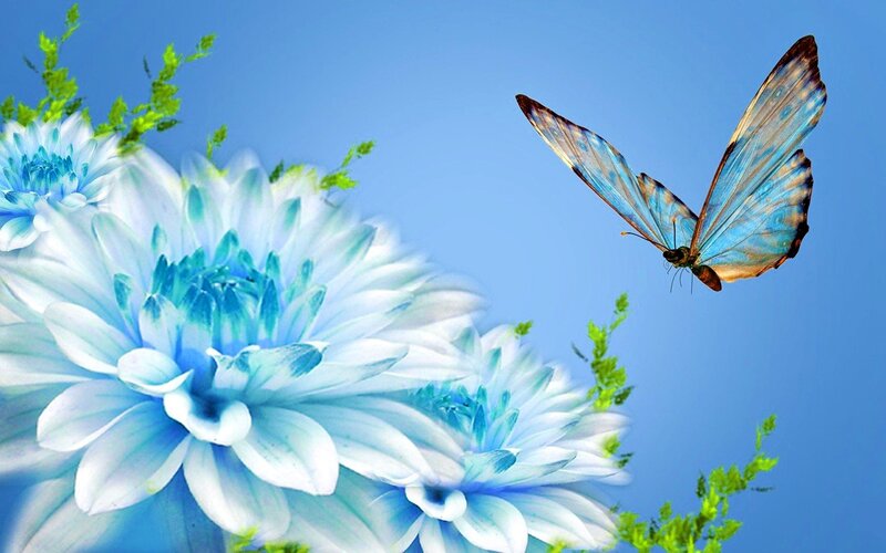 Blue Butterfly Near Flowers — Serene