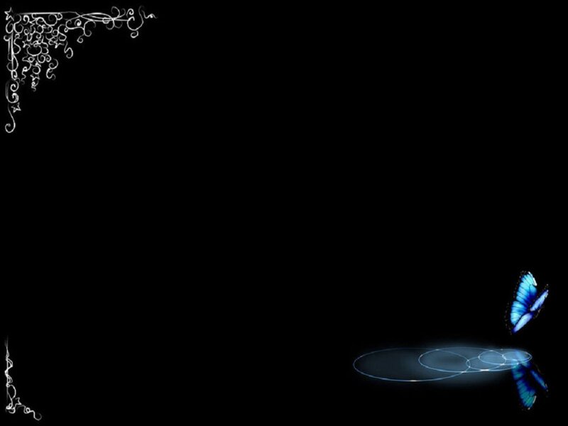 blue butterfly on black background