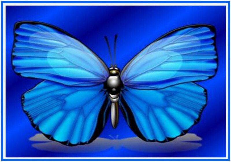 blue butterfly on blue background