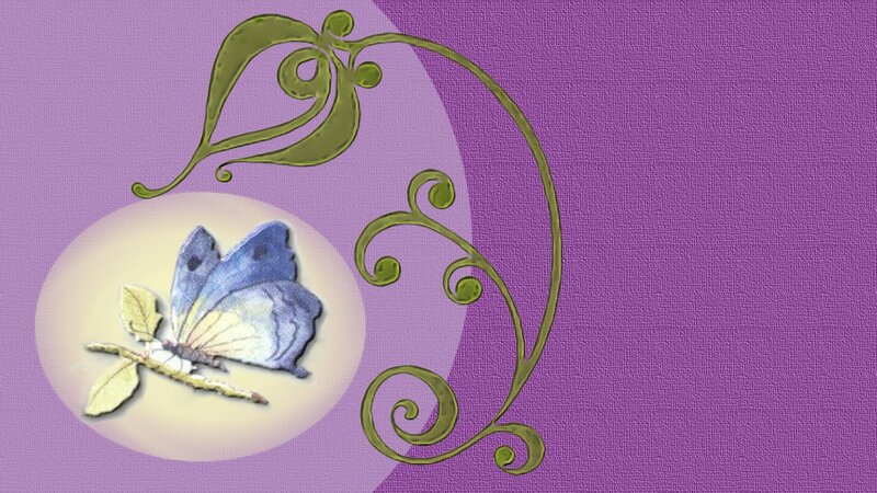 Blue Butterfly on Branch — Purple