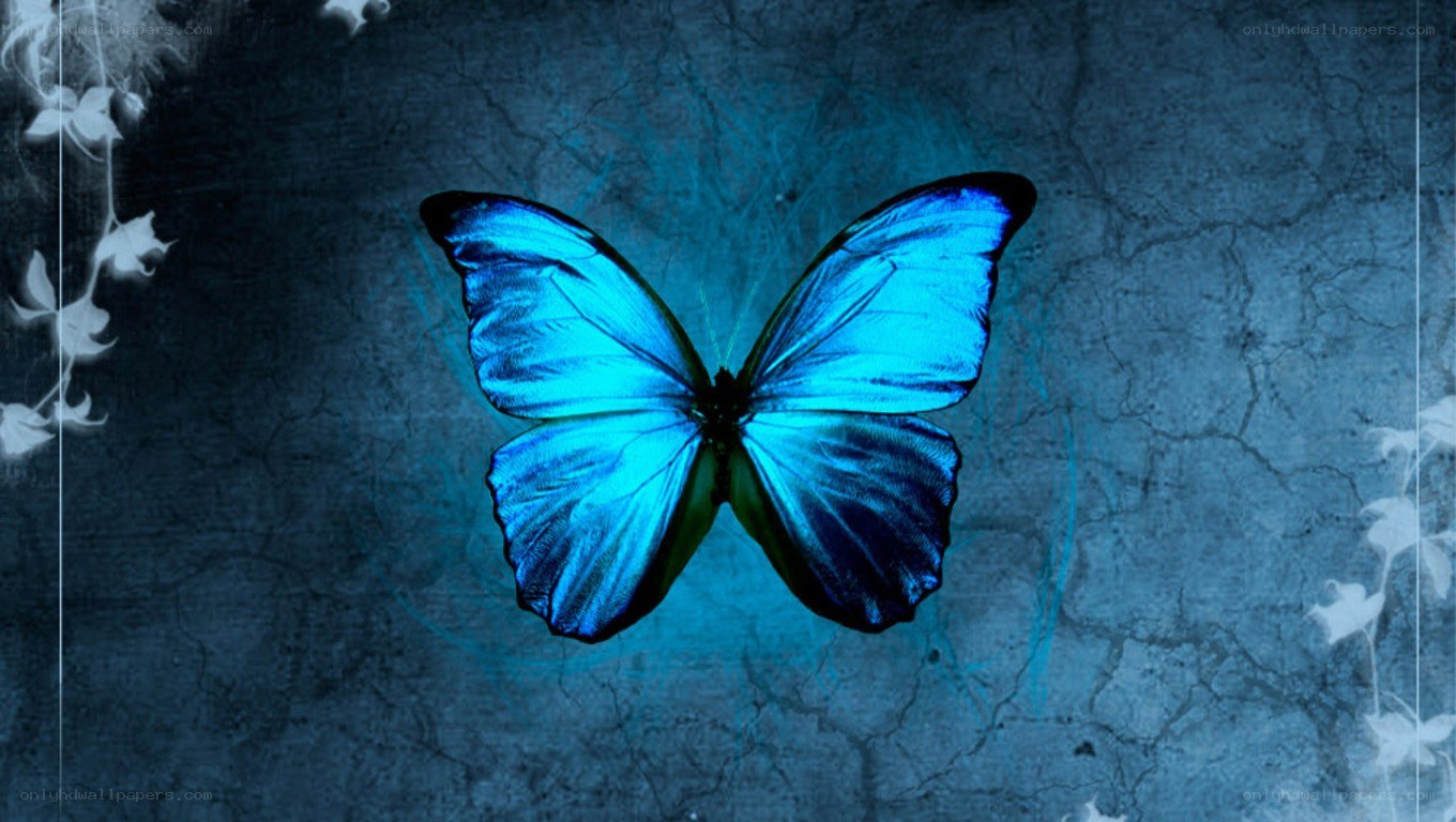 blue butterfly on dark background