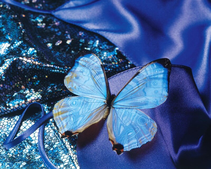 Blue Butterfly on Fabric — Calm