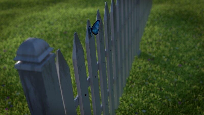 Blue Butterfly on Fence