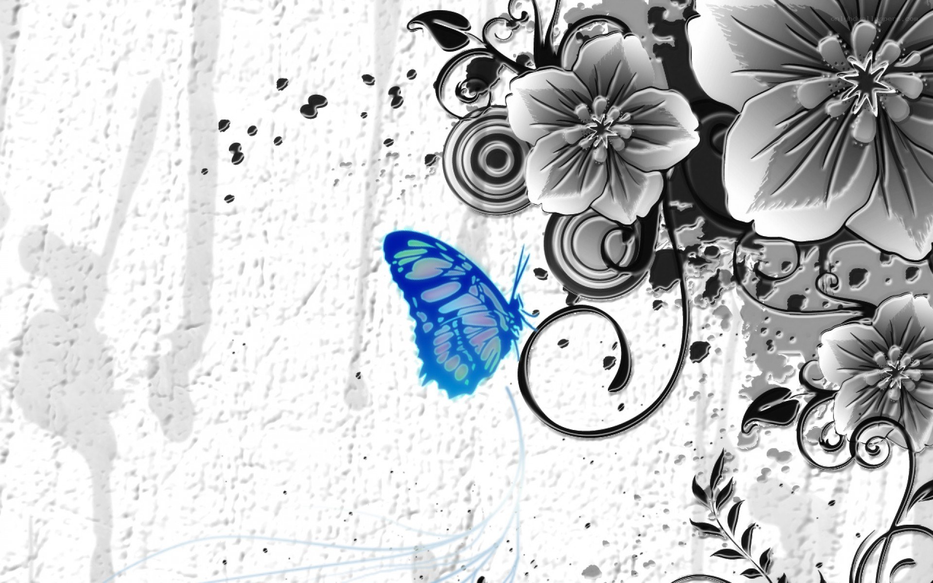 blue butterfly on floral background