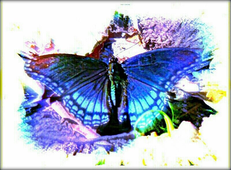 Blue Butterfly on Flower — Vibrant, Digital Art