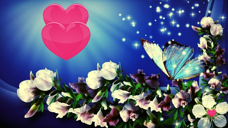 Blue Butterfly on Flowers — Dreamy, Night