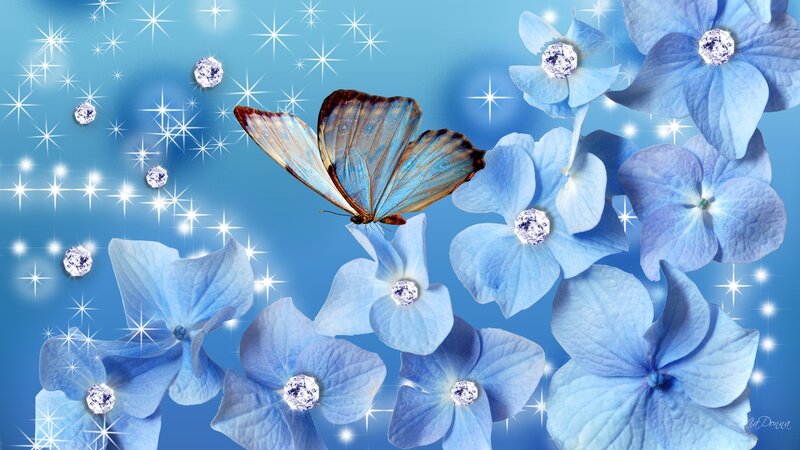 Blue Butterfly on Flowers — Dreamy