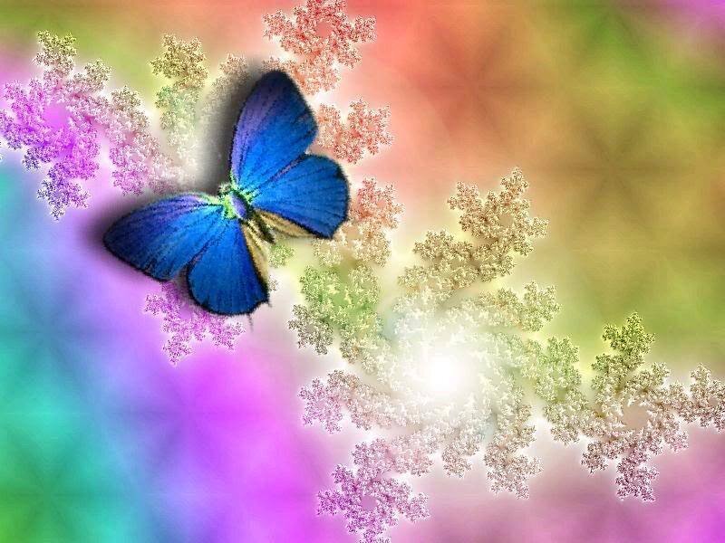 Blue butterfly on fractal background