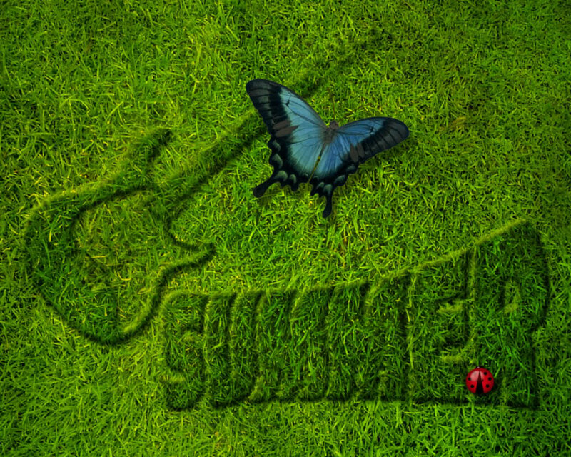 Blue Butterfly on Grass — Green, Serene, Summer