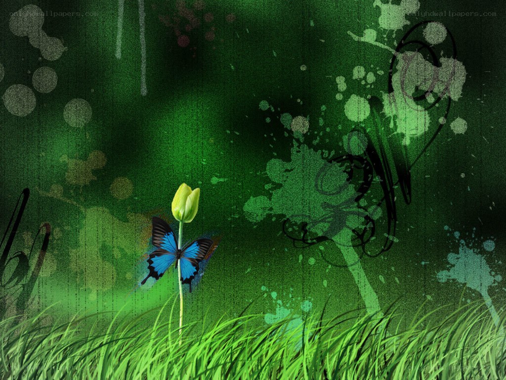 blue butterfly on green background