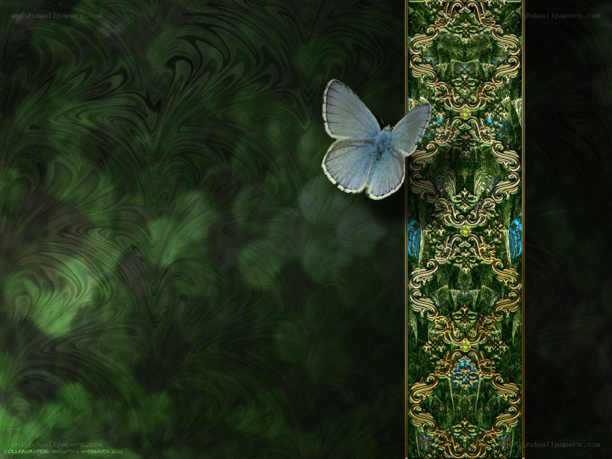 blue butterfly on green background