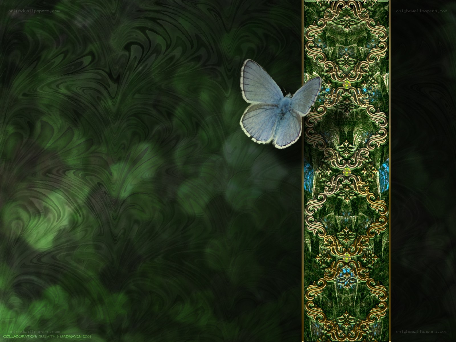 blue butterfly on green background