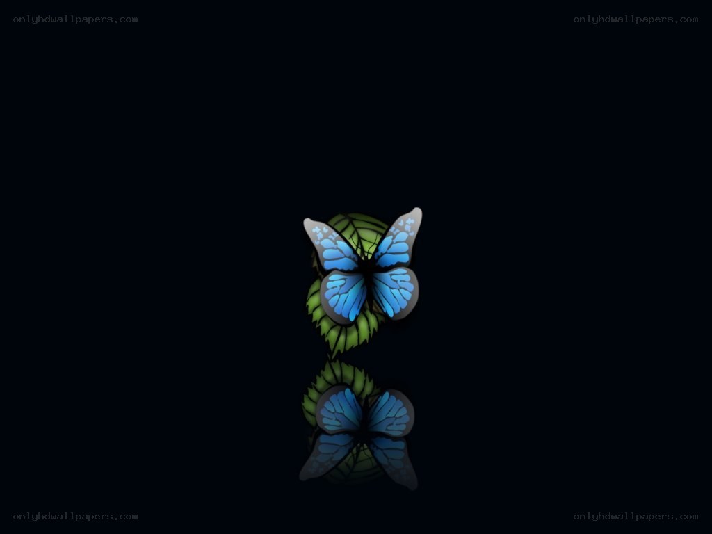Blue butterfly on green leaf