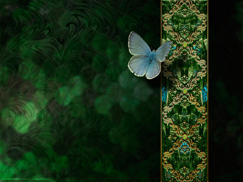 Blue Butterfly on Green
