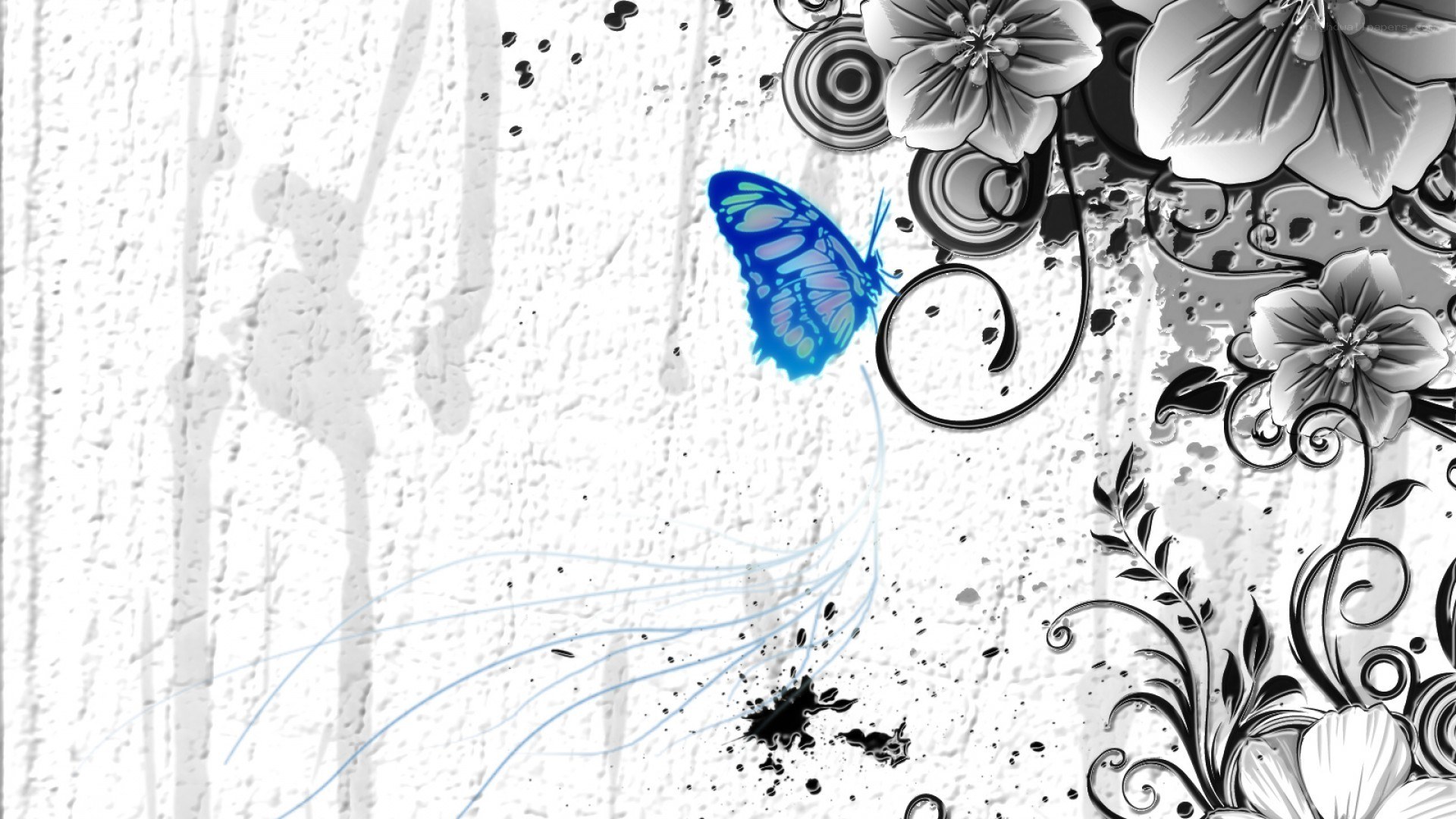 blue butterfly on grunge background