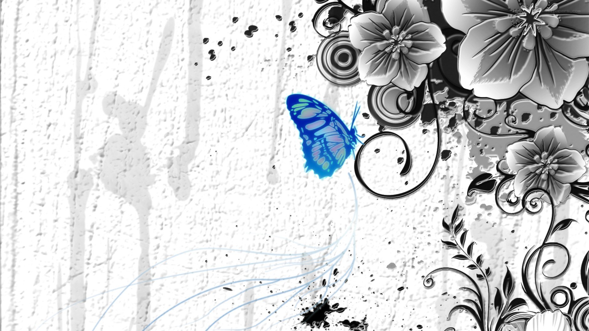 blue butterfly on grunge background