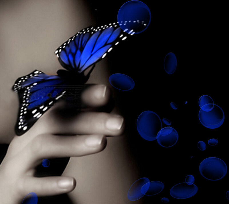 Blue Butterfly on Hand — Dramatic