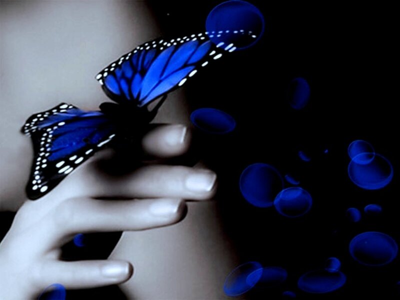 Blue Butterfly on Hand — Dreamy