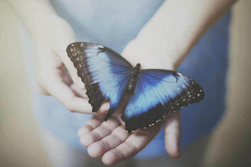 Blue Butterfly on Hand — Serene, Photograph