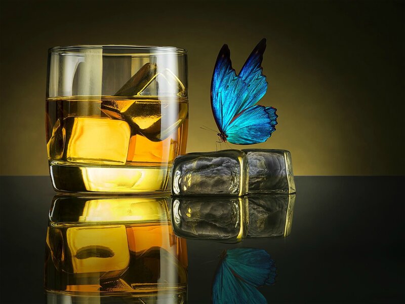 Blue Butterfly on Ice — Dramatic