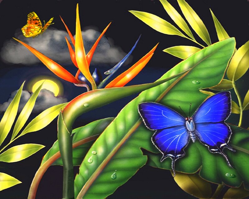 Blue Butterfly on Leaf — Green, Dramatic