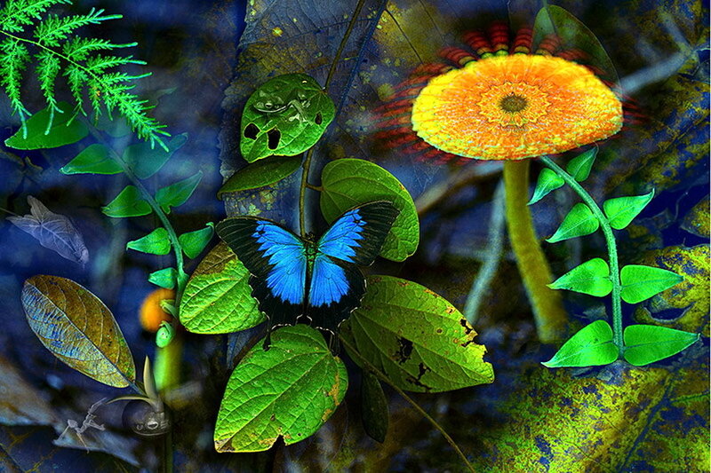 Blue Butterfly on Leaf — Green, Vibrant