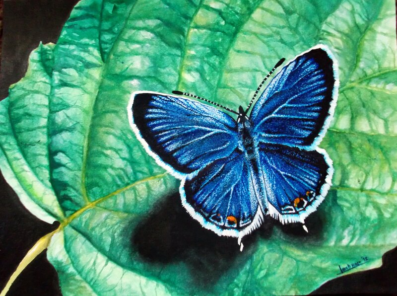 Blue Butterfly on Leaf — Serene, Painting